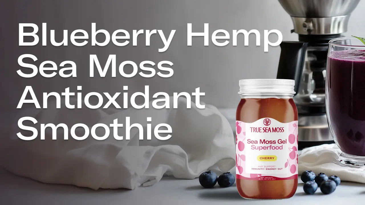 BLUEBERRY HEMP SEA MOSS ANTIOXIDANT SMOOTHIE