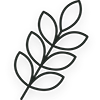 Black branch