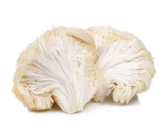 Lion’sMane