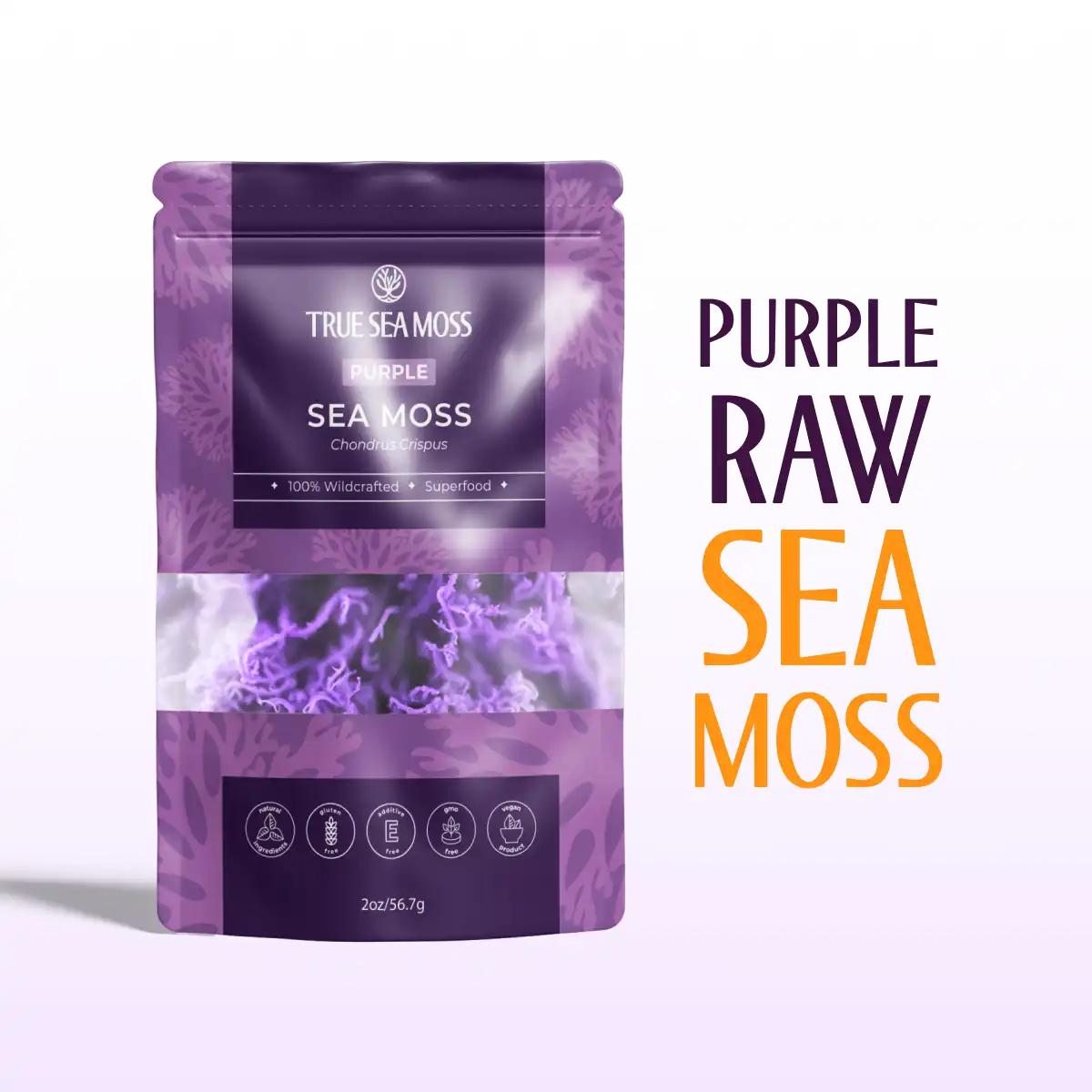 PURPLE IRISH SEA MOSS
