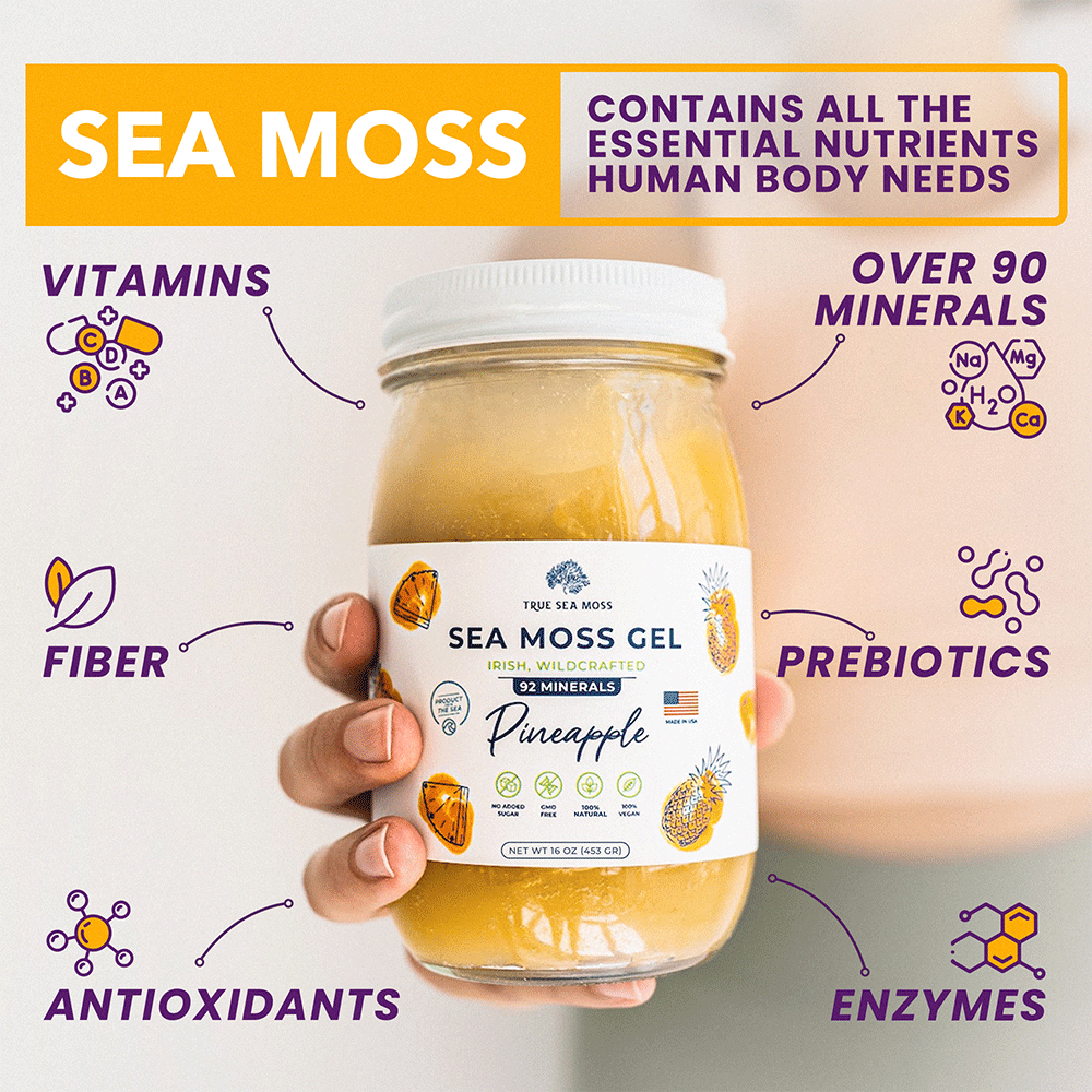 Can Pregnant Women Eat Sea Moss? The Safe and Nutritious Choice!