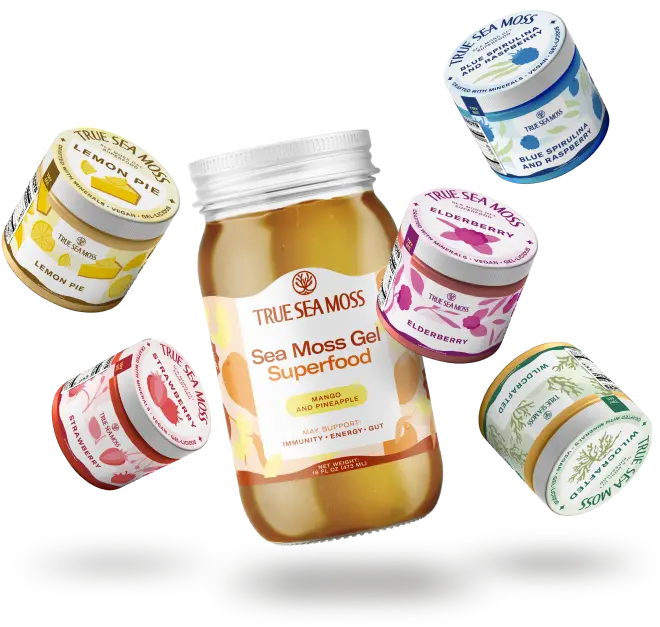 Sea Moss Gel Starter Kit - True Sea Moss