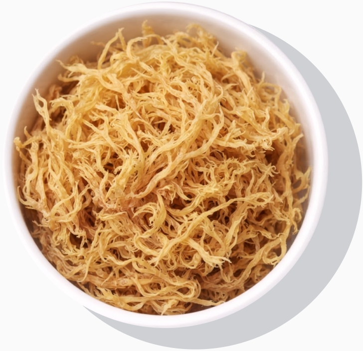 Real Sea Moss