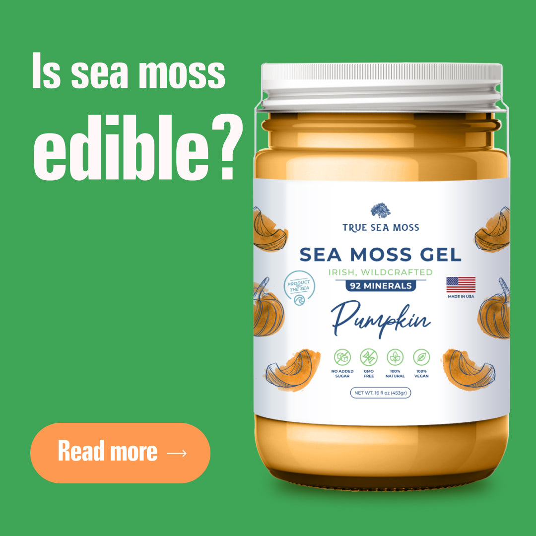 Can You Eat Sea Moss? Your Guide to Sea Moss Benefits and Uses | True ...