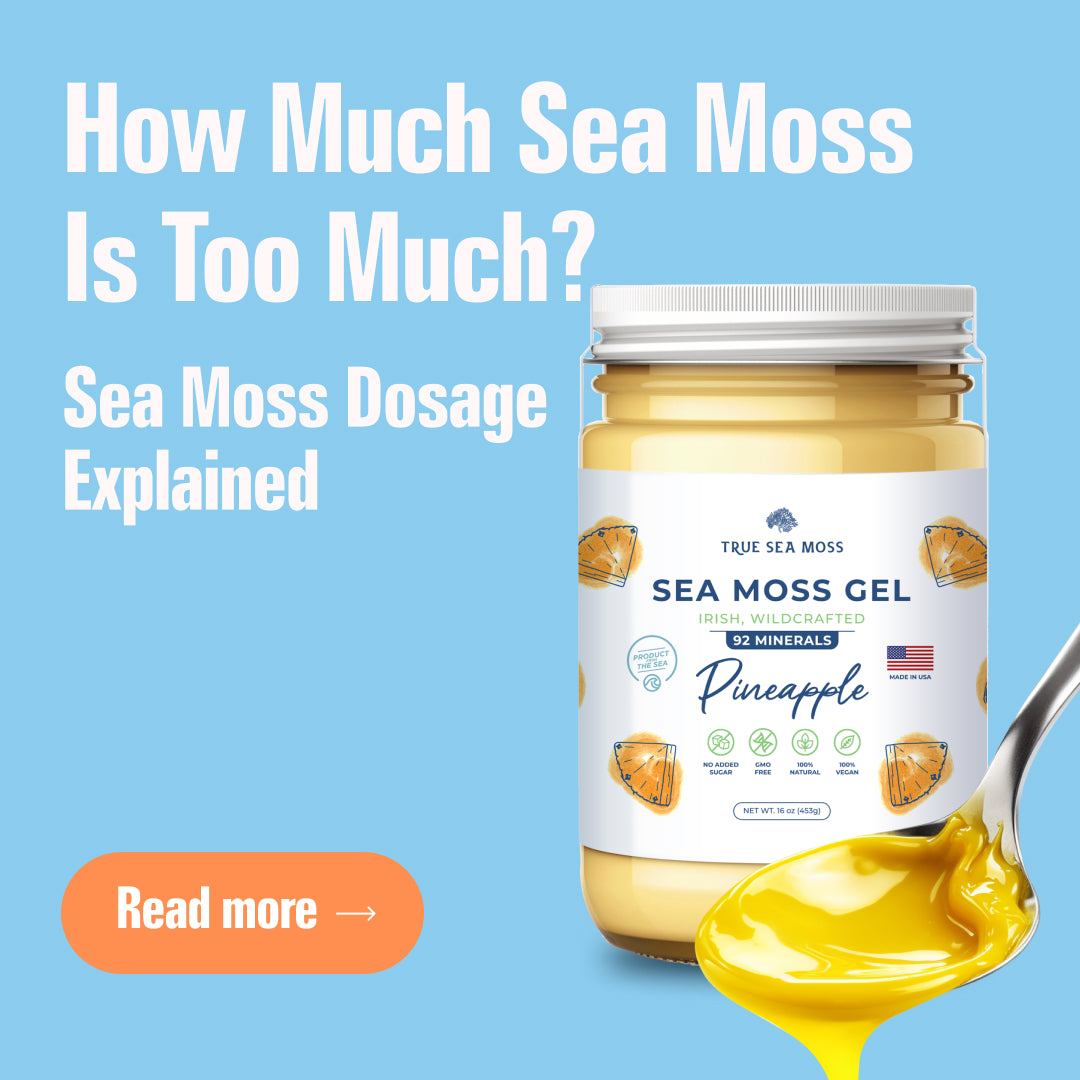 How Much Sea Moss Is Too Much? Sea Moss Right Dosage Explained