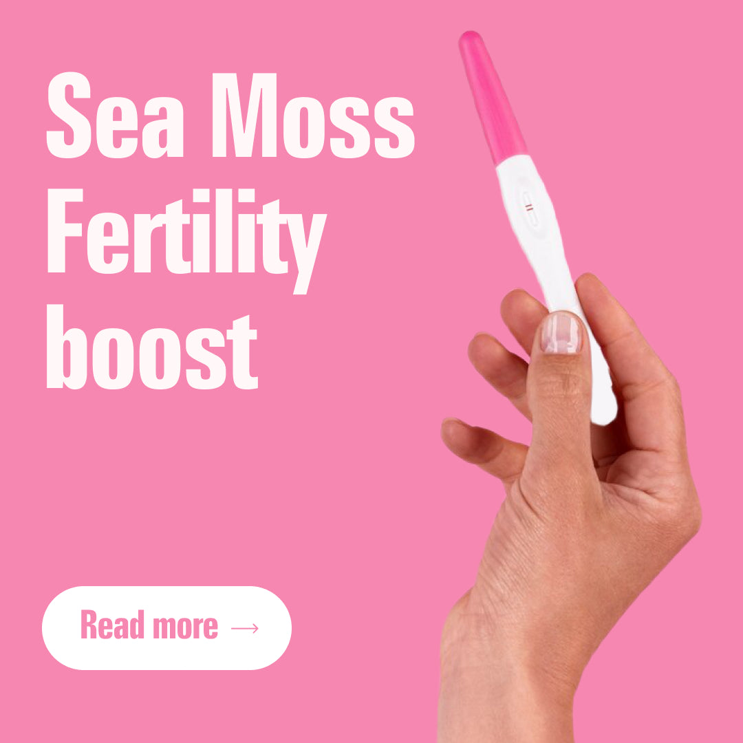 Can Sea Moss Help With Fertility? Research-Based Sea Moss Fertility Benefits