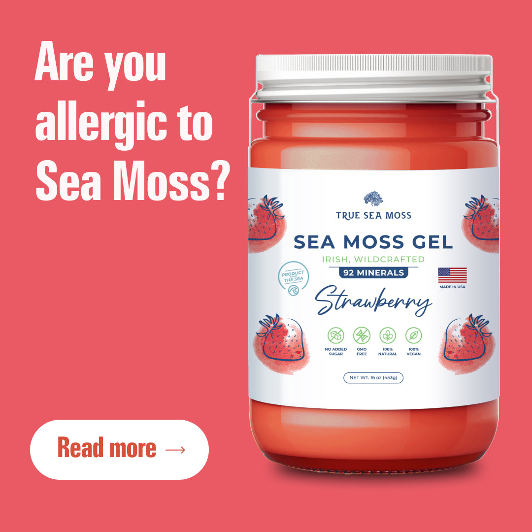 Is Sea Moss Allergy Possible? Sea Moss Allergy Symptoms