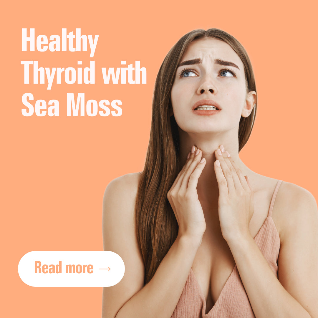 Is Sea Moss Good For Hypothyroidism? All About Sea Moss For Thyroid