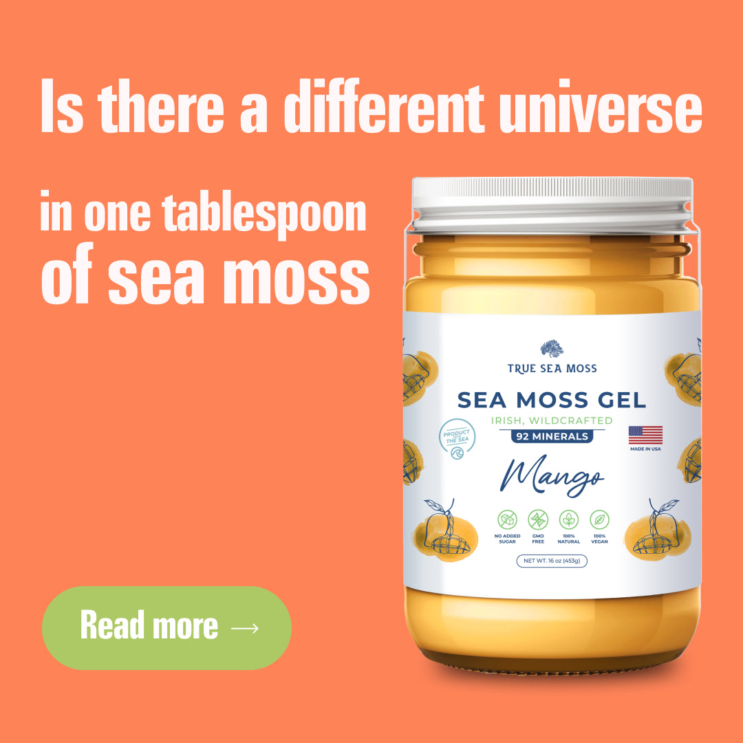 What Does Sea Moss Contain? Learn What’s In Your Tablespoon of Sea Moss Gel