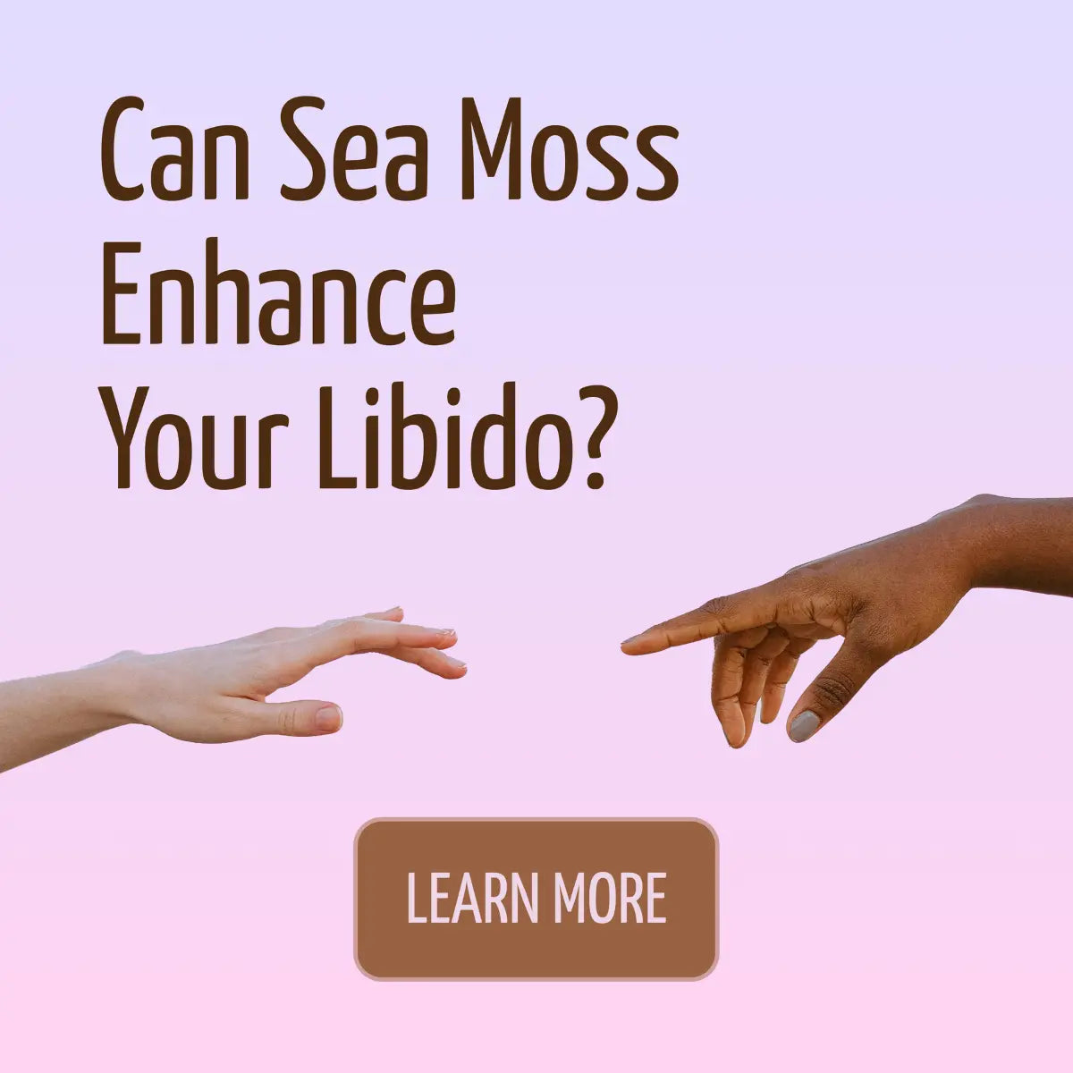 Does Sea Moss increase libido - True Sea Moss