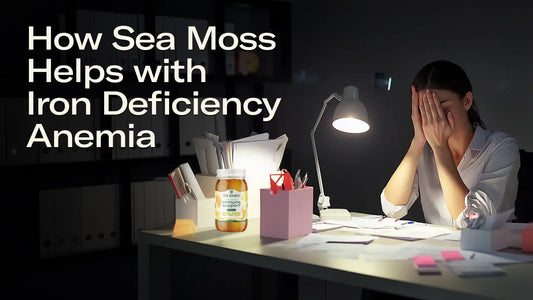 How Sea Moss Helps with Iron Deficiency Anemia: Benefits & Usage