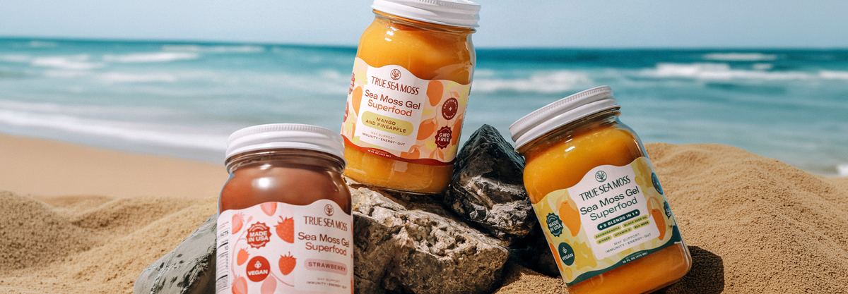 What Is Sea Moss? A Comprehensive Guide to This Ocean Superfood
