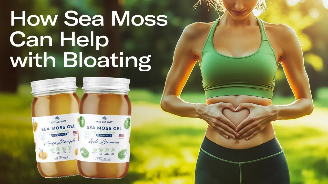 How Sea Moss Can Help with Bloating
