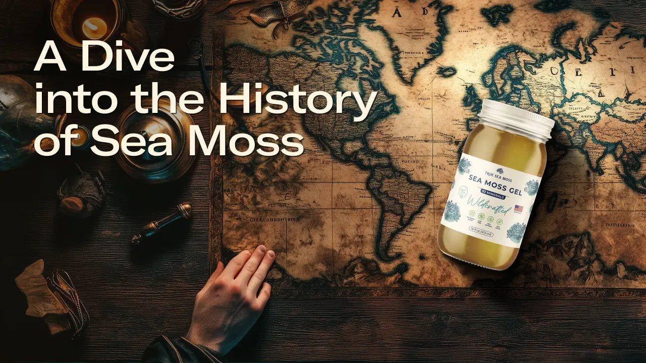 A Dive into the History of Sea Moss: Discover True Sea Moss Benefits | True Sea Moss