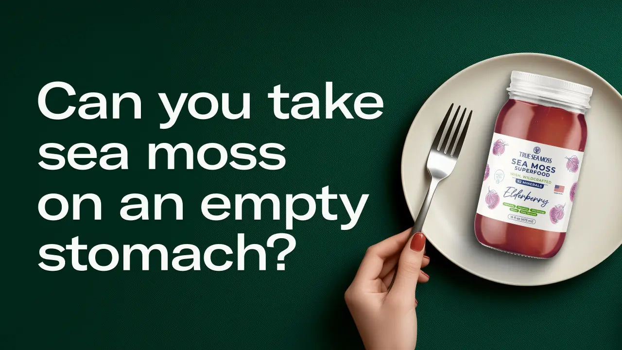 Can You Take Sea Moss on an Empty Stomach? Benefits & Tips