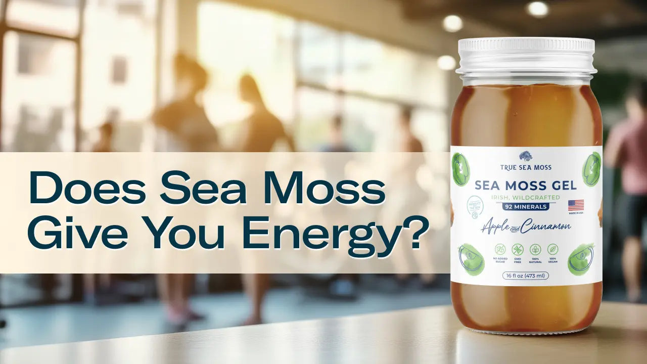 Does Sea Moss Give You Energy? Discover the Benefits