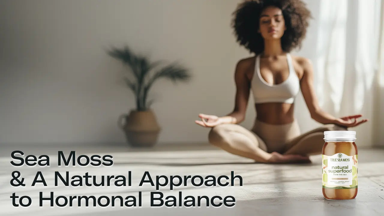 Sea Moss and a Natural Approach to Hormonal Balance