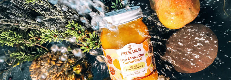Sea Moss Gel: What It Is & Why You Should Add It to Your Morning Wellness Routine