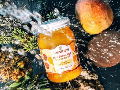 Sea Moss Gel: What It Is & Why You Should Add It to Your Morning Wellness Routine