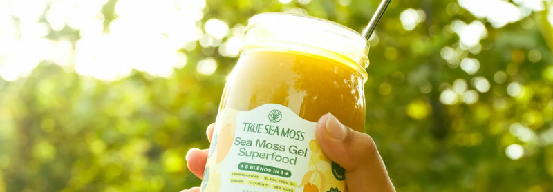 The Science of Sea Moss: Nutrients, Bioactive Compounds & What Research Actually Says