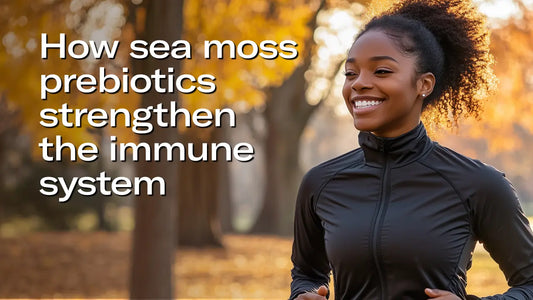 How sea moss prebiotics strengthen the immune system – TrueSeaMoss