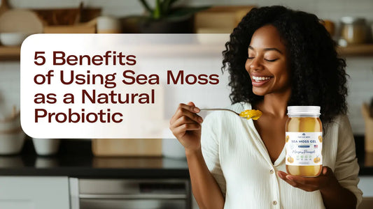 5 Benefits of Using Sea Moss as a Natural Probiotic – TrueSeaMoss