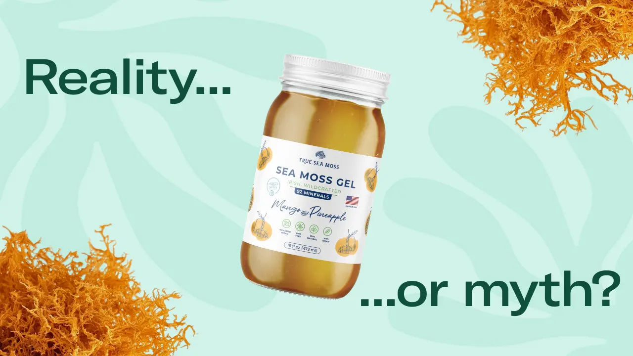 Is Sea Moss Harmful: Exploring the Truth | True Sea Moss