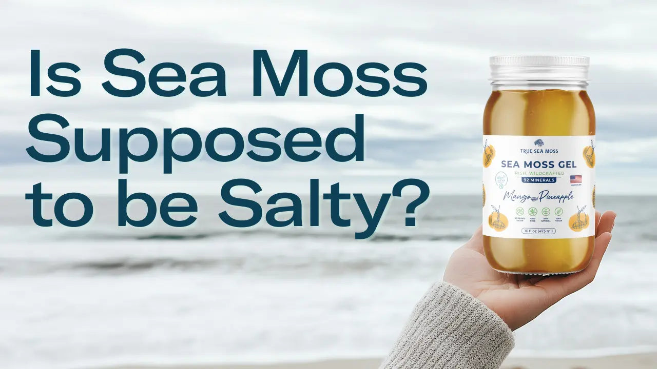 Is Sea Moss Supposed to Be Salty? Everything You Should Know