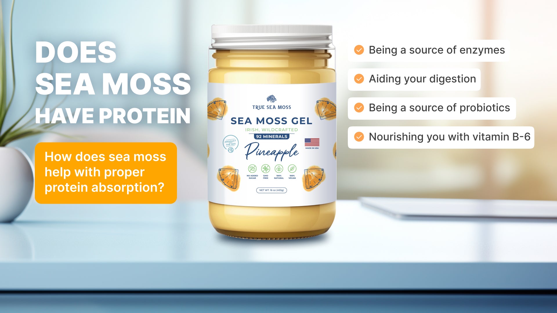 Is there any protein in sea moss?