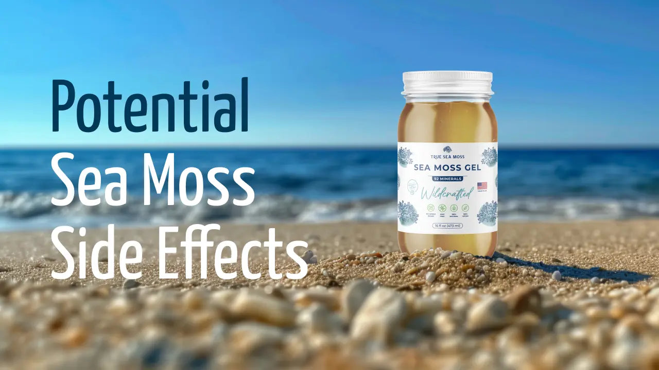 Sea Moss: Health Benefits and Side Effects | True Sea Moss