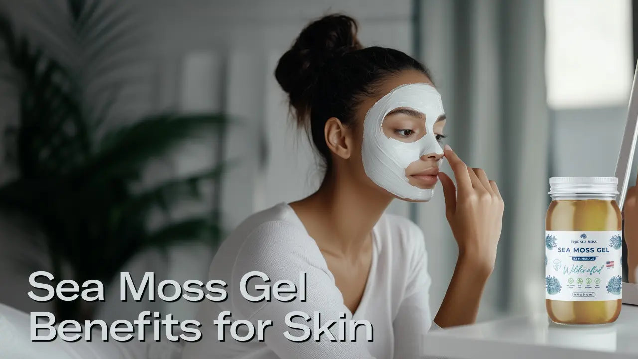 Sea Moss Gel Benefits for Skin: Natural Skincare Secrets