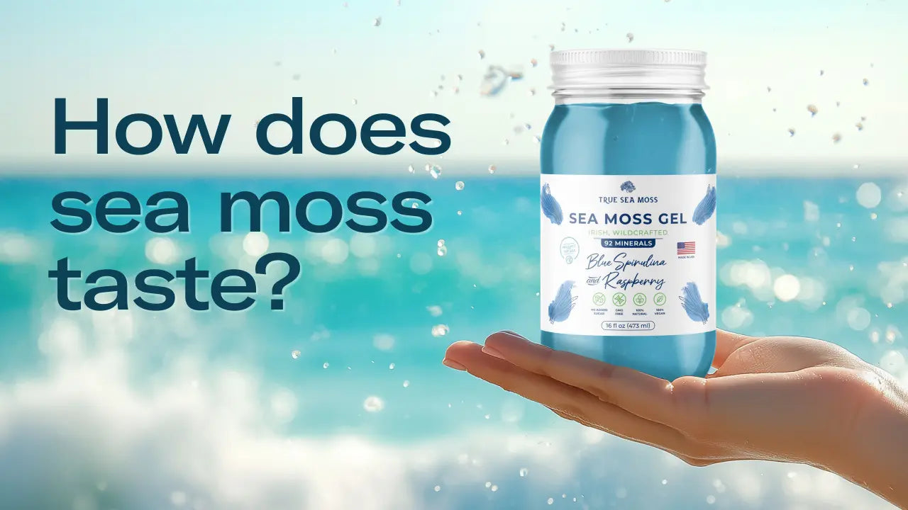 How Does Sea Moss Taste: Discover the Flavor Profile | True Sea Moss