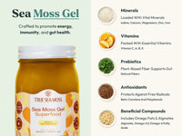 Mango pineapple sea moss gel jar with list of minerals, vitamins, and antioxidants