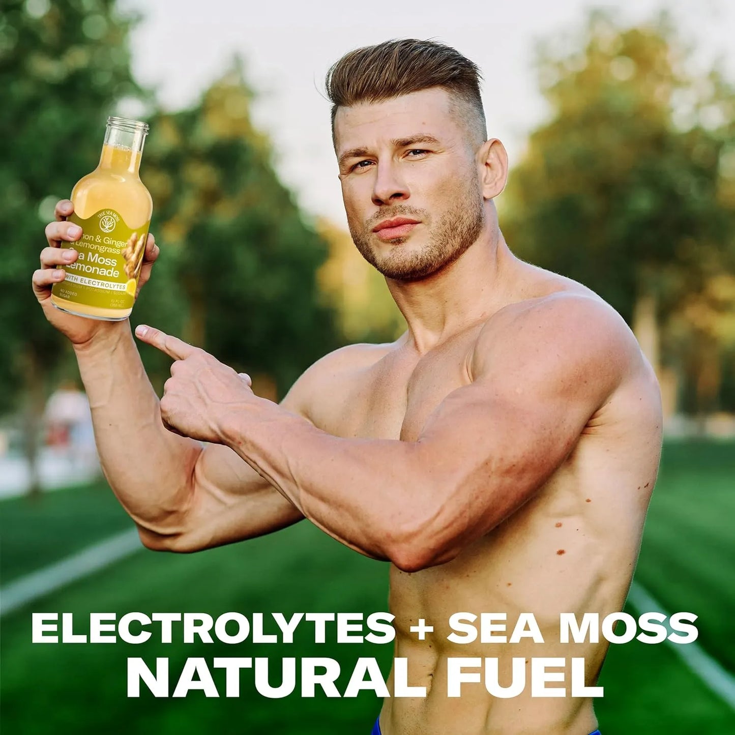 Lemonade - Lemon Ginger Lemongrass -Hydration Drink – 4 × 12 fl oz Bottles – Made in USA from globally sourced ingredients