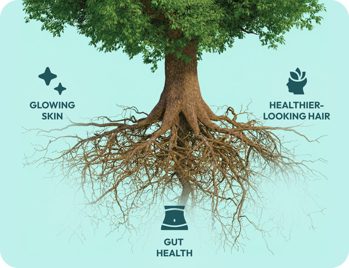 Skin, Nail, and Hair Health <br> Starts In Your Gut