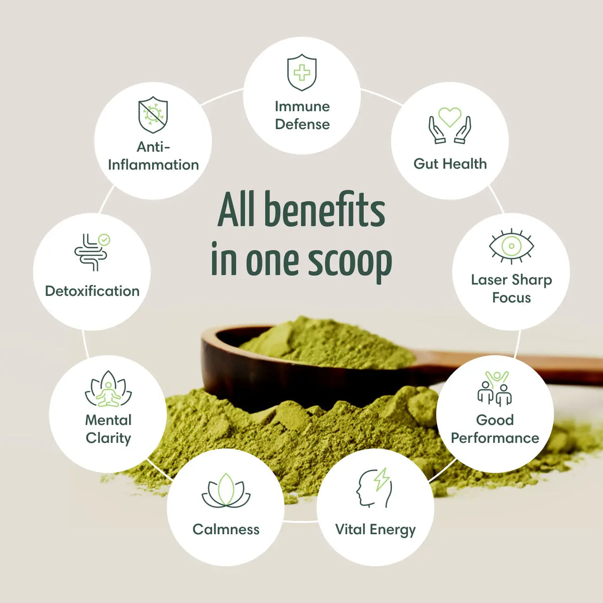 All benefits of Sea Moss 8 in 1 Powerful Blend