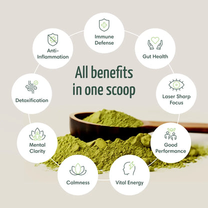 All benefits of Sea Moss 8 in 1 Powerful Blend