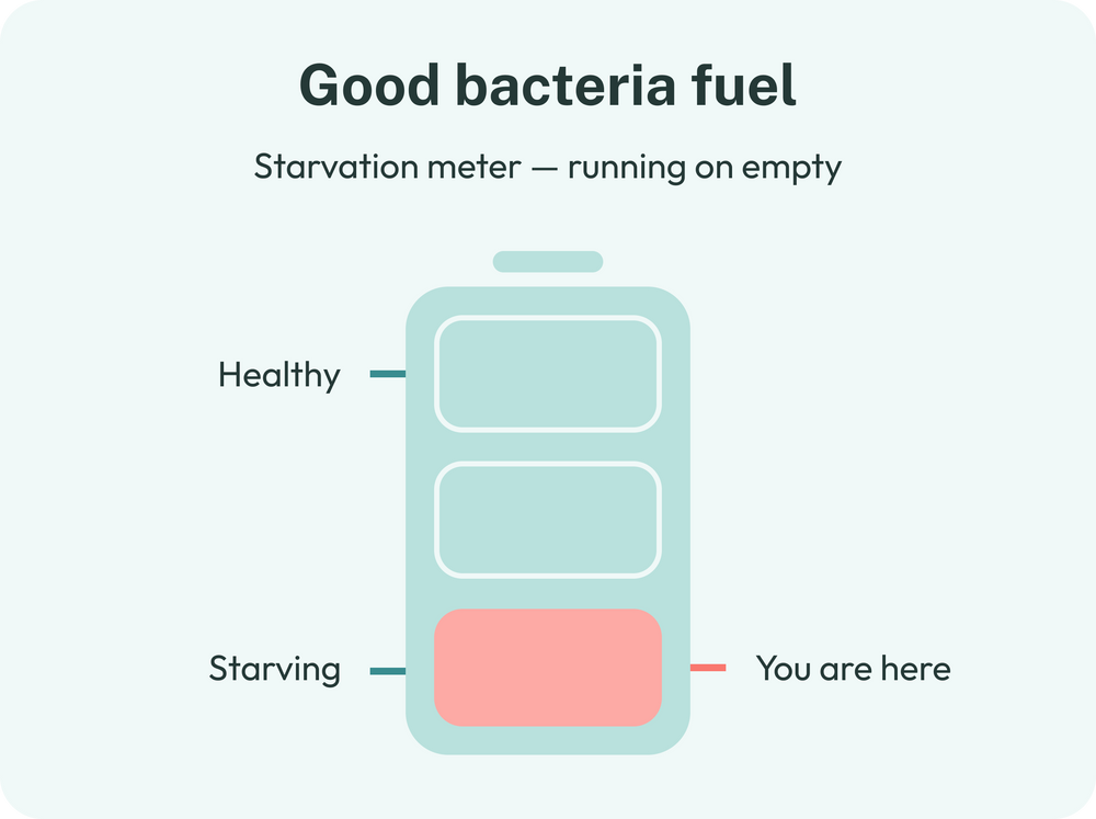 Good bacteria fuel starvation meter
