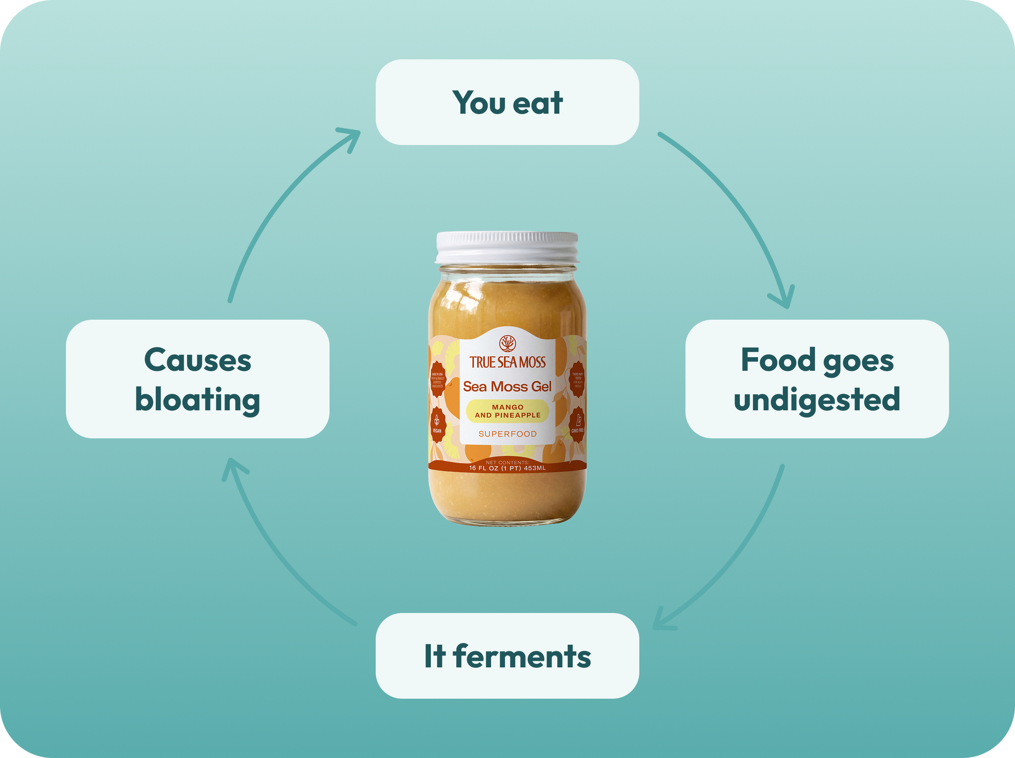 Food Is Fermenting Inside You