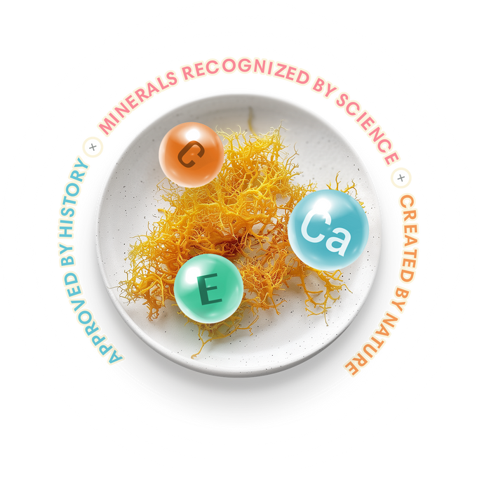 The wisdom of natural nutrition lives at the core of our business