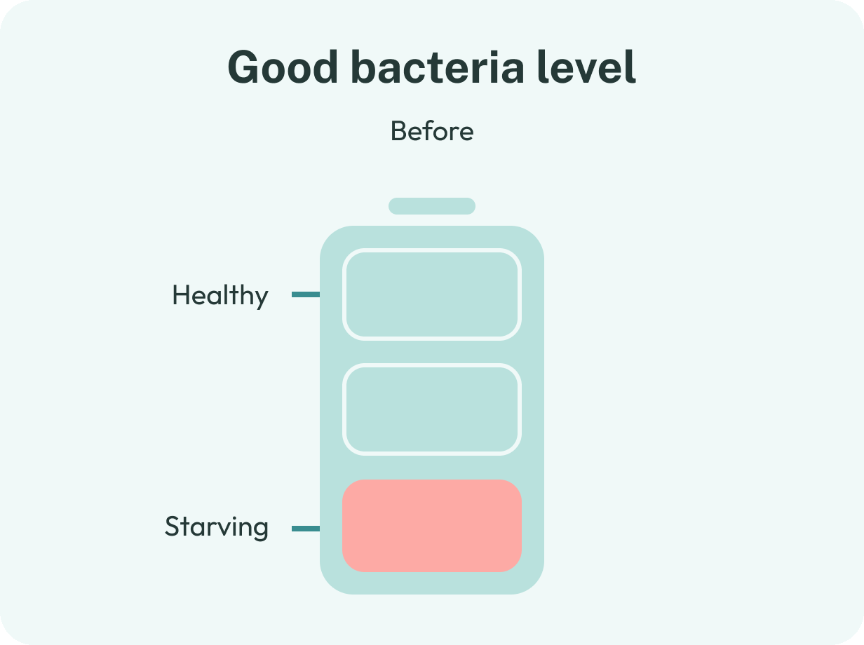 Happy Gut Microbiome