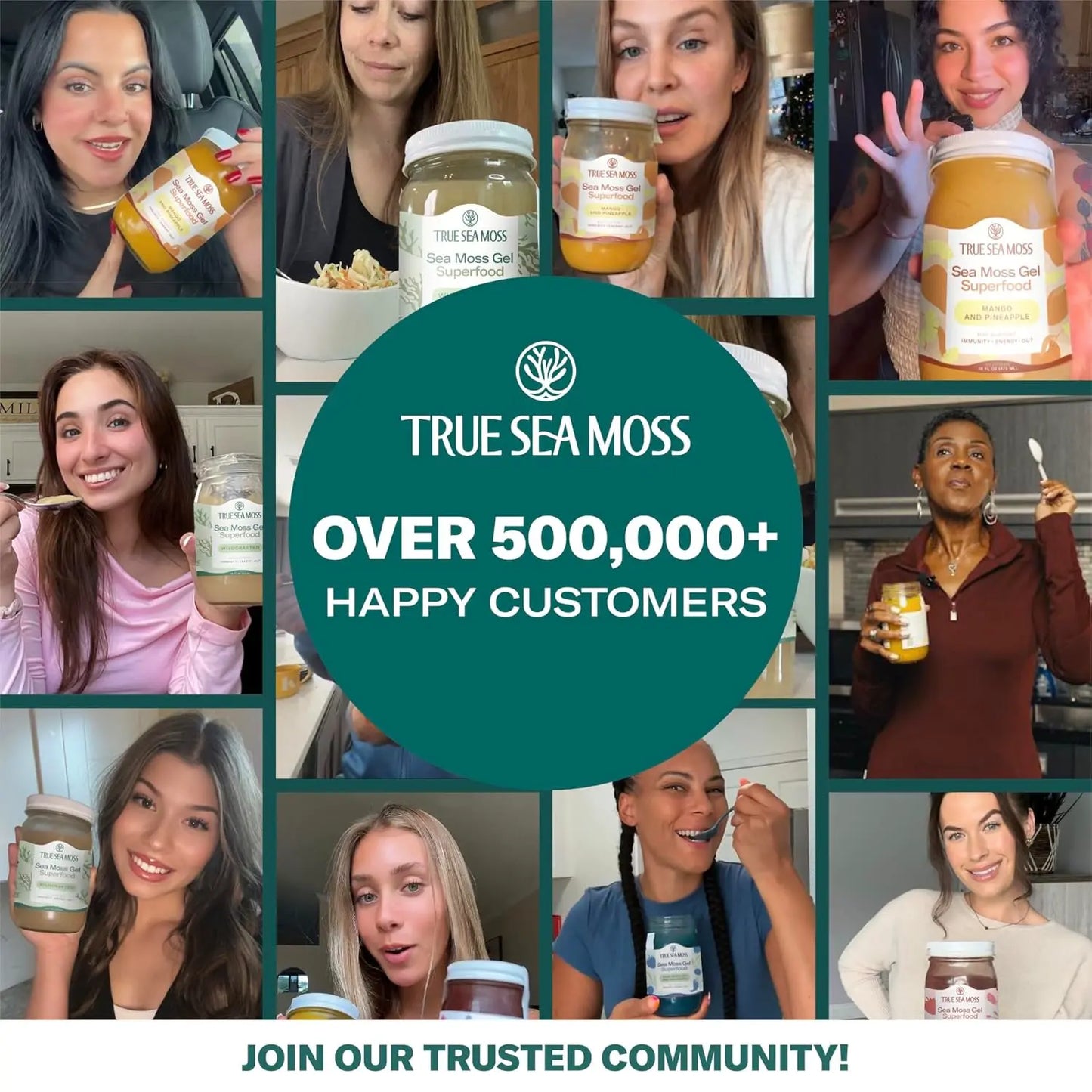 MANGO SEA MOSS GEL