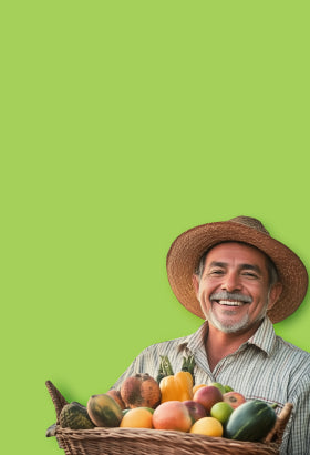 Sprouts Shops and Retail Chains