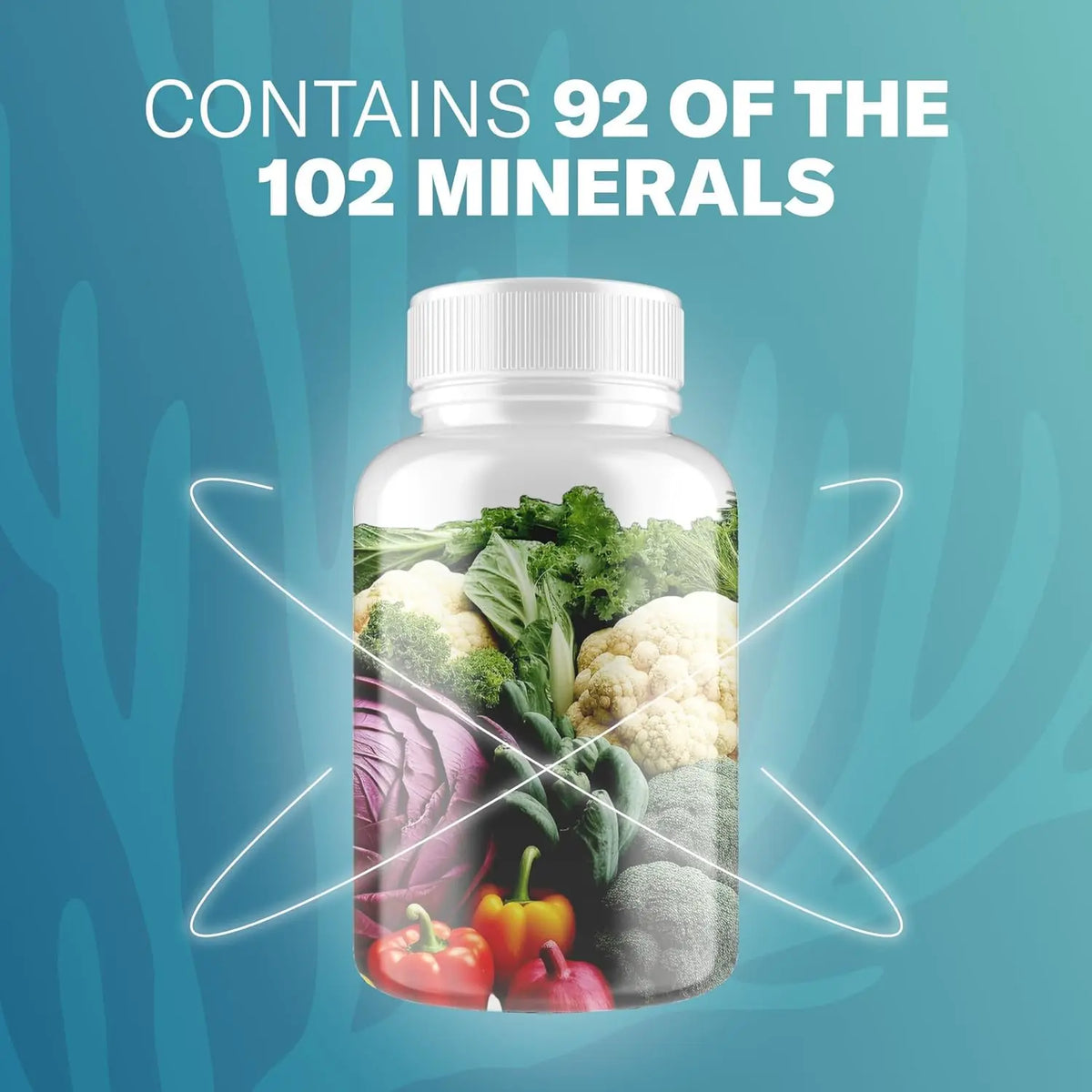 NATURAL SEA MOSS CAPSULES
