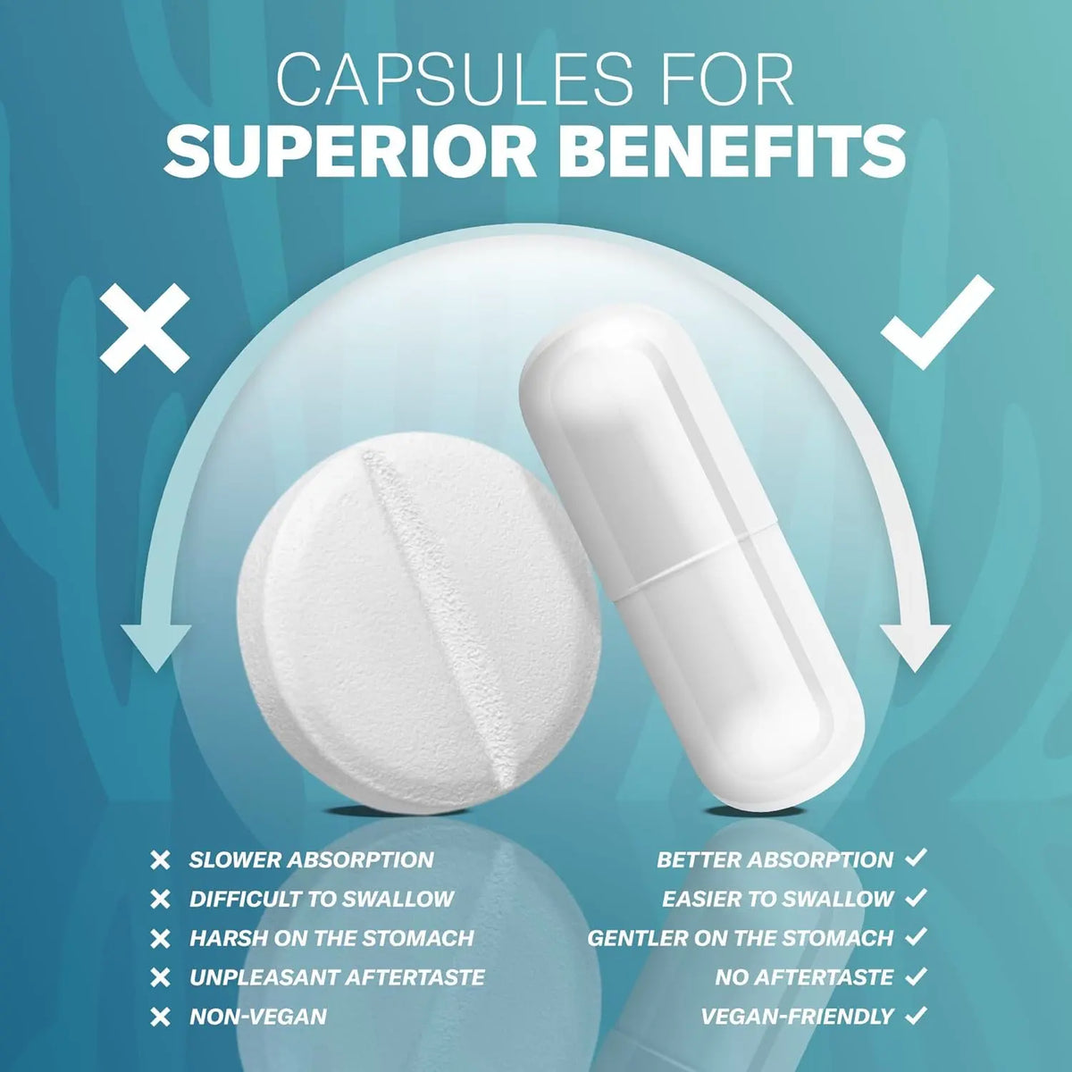 NATURAL SEA MOSS CAPSULES