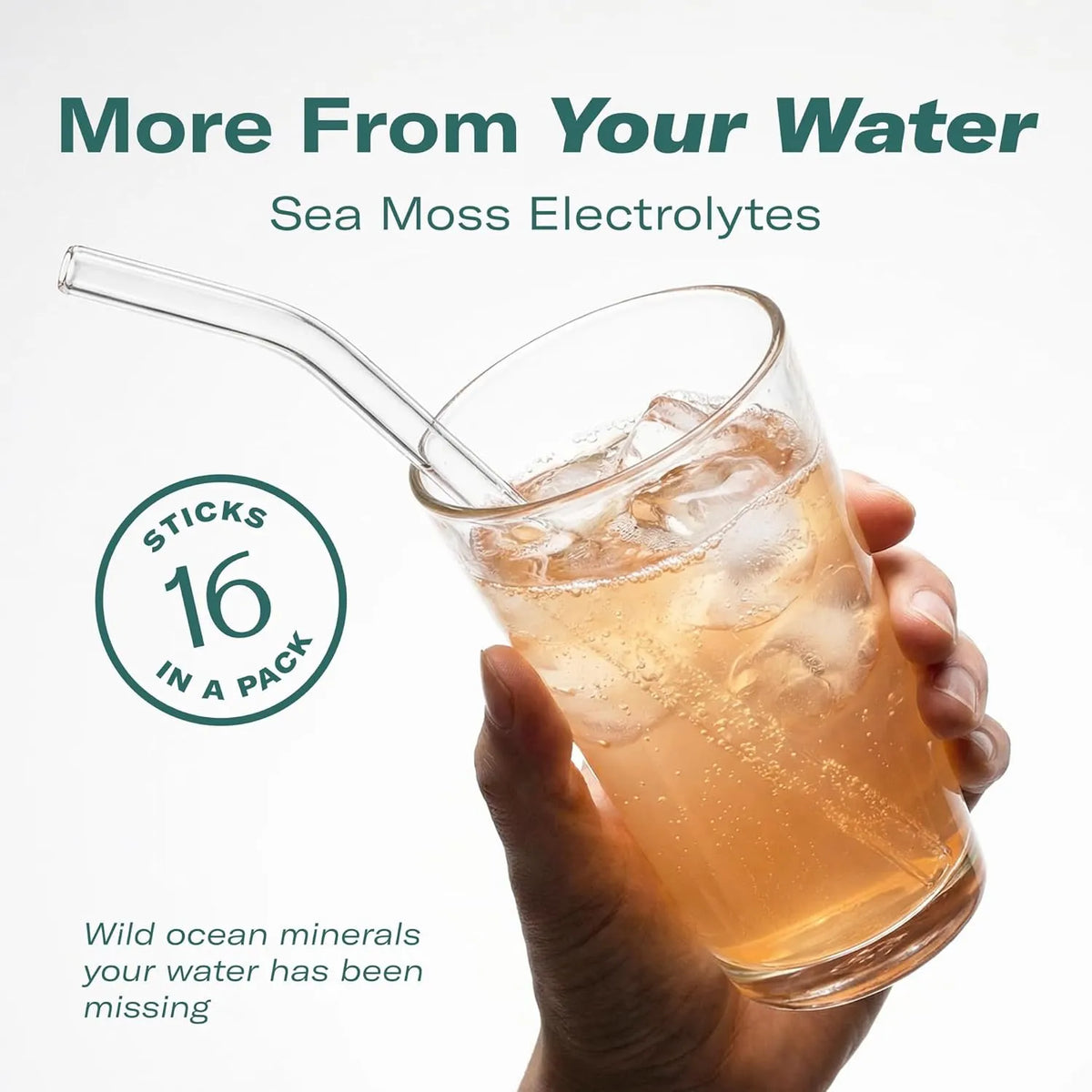 TrueSeaMoss Electrolytes Powder Packets – Made in USA from globally sourced ingredients – 16 Stickpacks – Hydration Powder with Sea Moss with Potassium – No Sugar Drinks – Variety Pack