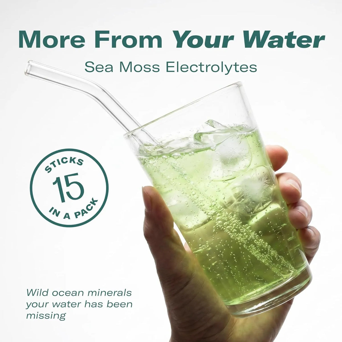 TrueSeaMoss Electrolytes Powder Packets – Made in USA from globally sourced ingredients – 15 Stickpacks – Hydration Powder with Sea Moss with Potassium – No Sugar Drinks – Lime & Lemon