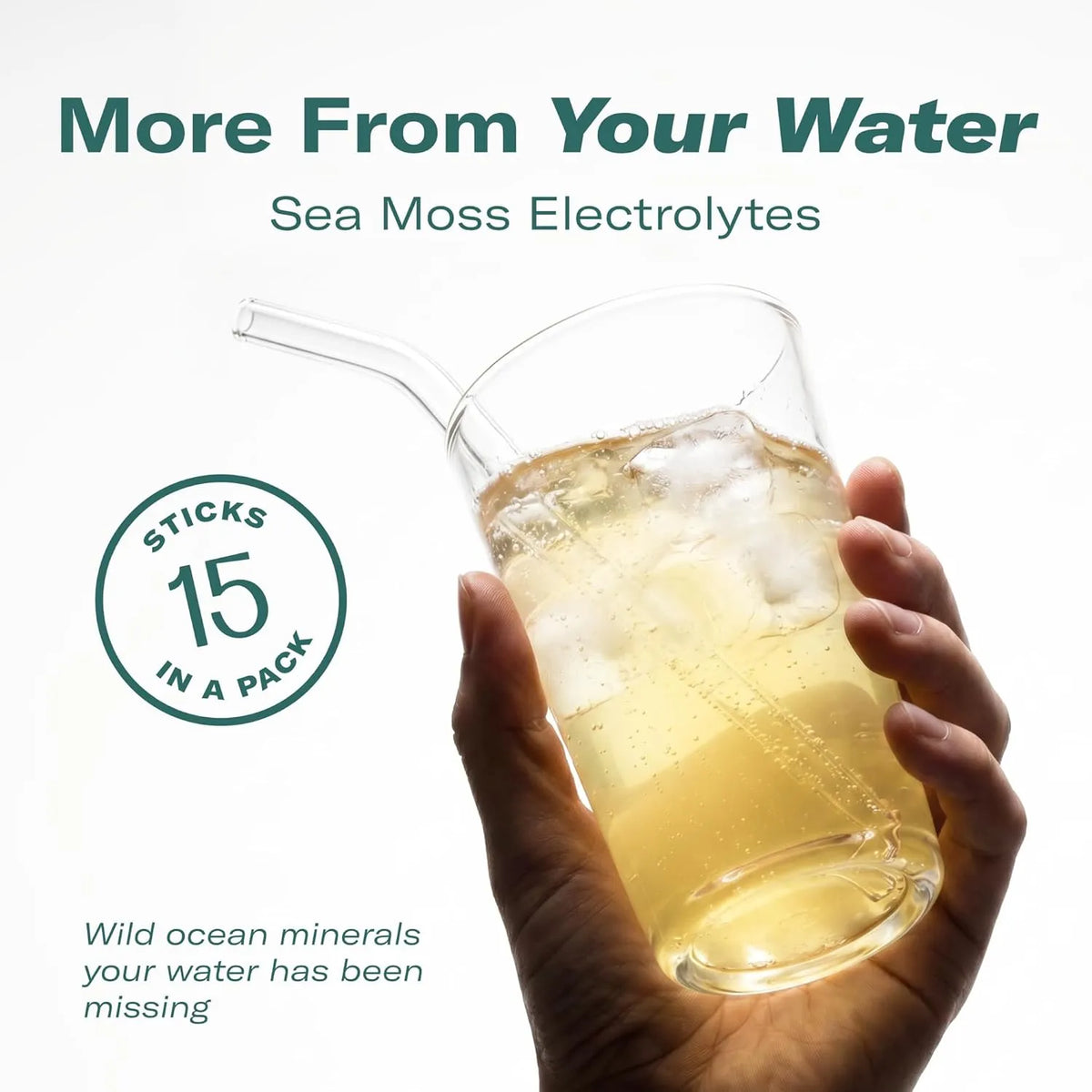 TrueSeaMoss Electrolytes Powder Packets – Made in USA from globally sourced ingredients – 15 Stickpacks – Hydration Powder with Sea Moss with Potassium – No Sugar Drinks – Melon & Watermelon