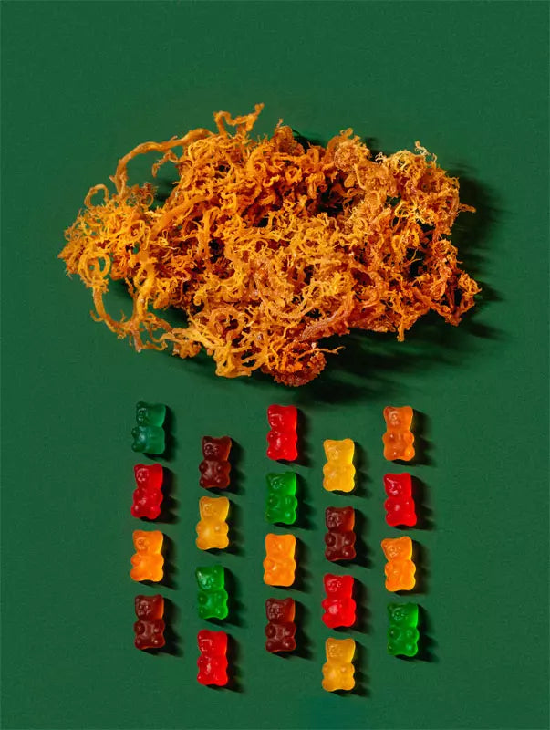 sea-moss-gried-and-gummies