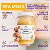 True Sea Moss pineapple gel highlighting essential nutrients: vitamins, over 90 minerals, fiber, antioxidants, prebiotics, and enzymes. The natural choice for a healthy body.